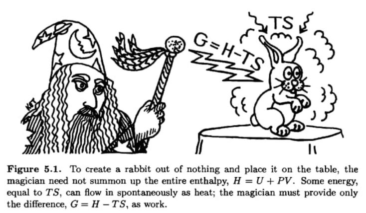 a textbook cartoon of a magician creating a rabbit, illustrating thermodynamic free energy