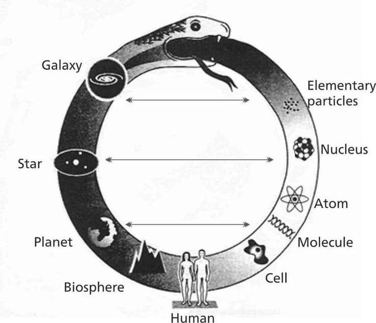 an ouroboros diagram showing scales from galaxies and stars to atoms and particles